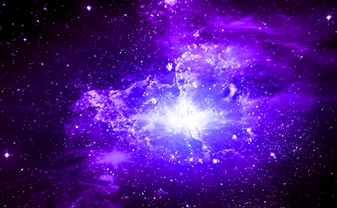 网络短信免费版