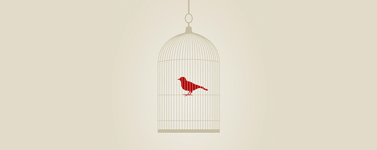 手机号在线轰炸